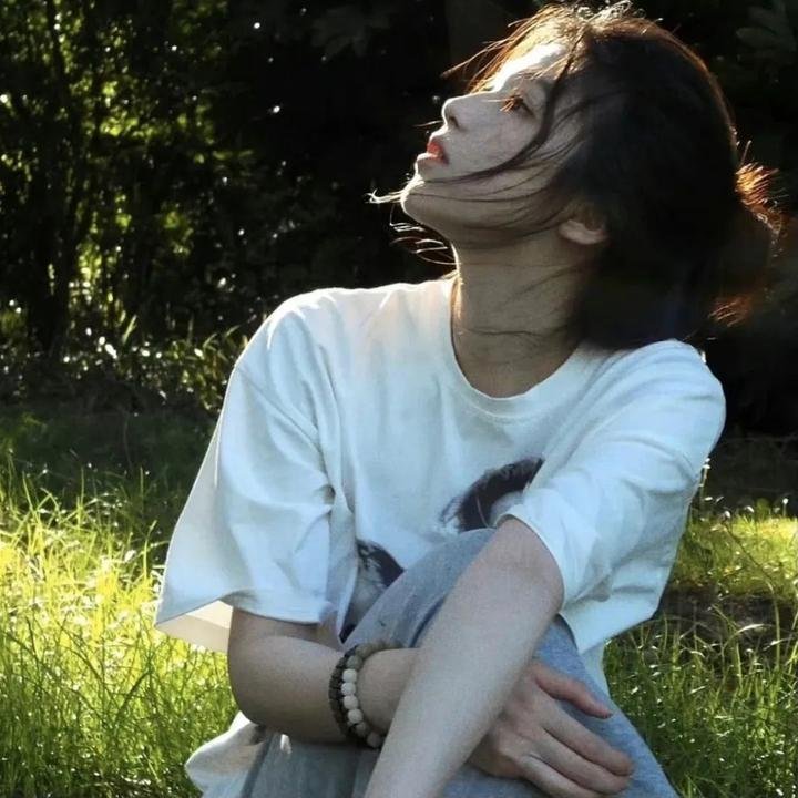 豹